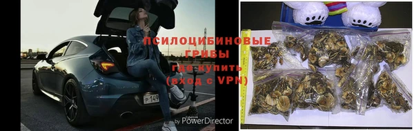 дживик Армянск